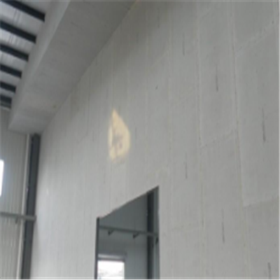 临夏宁波ALC板|EPS加气板隔墙与混凝土整浇联接的实验研讨